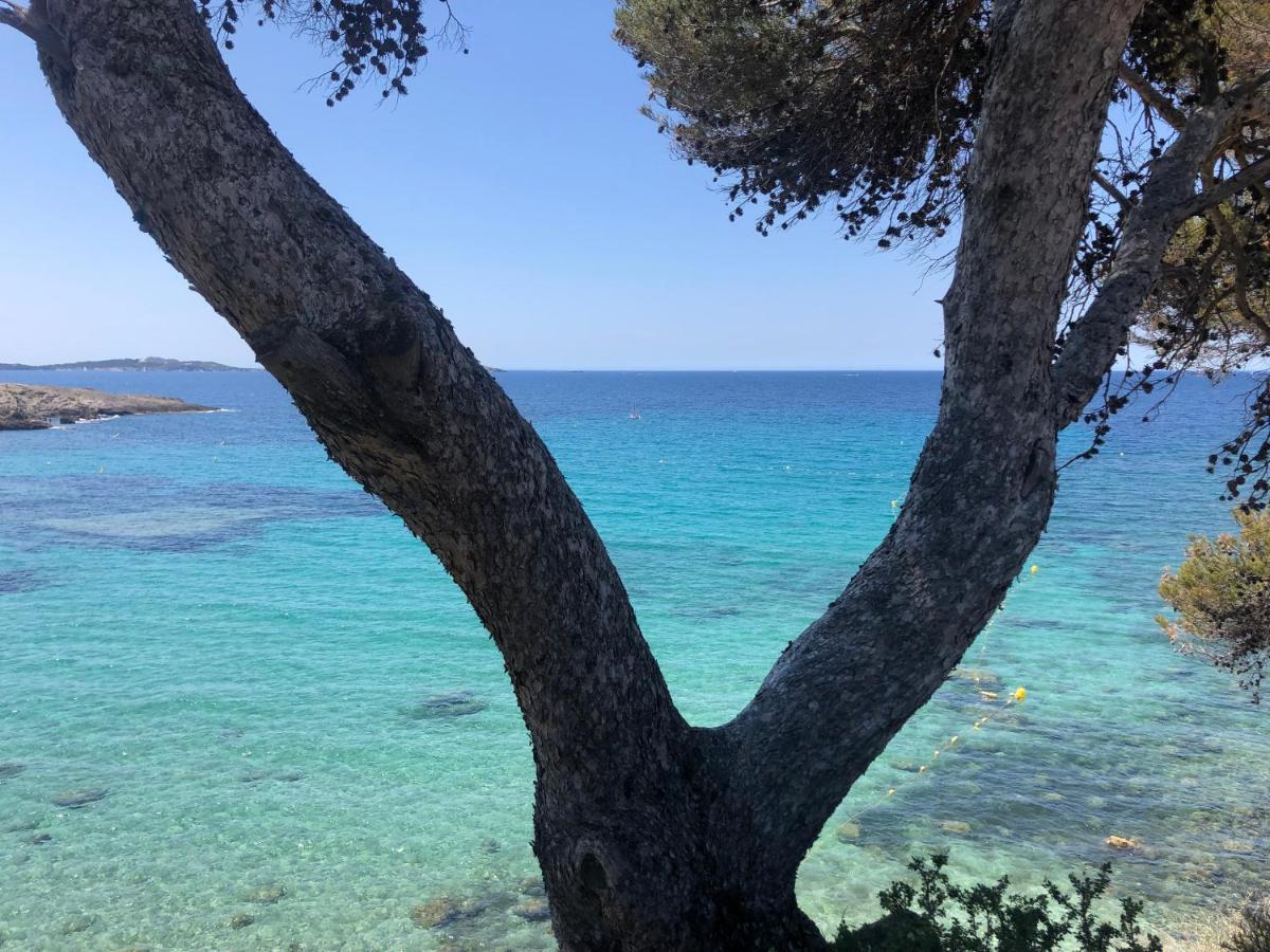 Les Baux 1 Sanary-sur-Mer Exterior foto